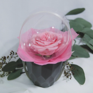 Valentine's-Day-Gift-Ideas-Flower-in-a-Balloon